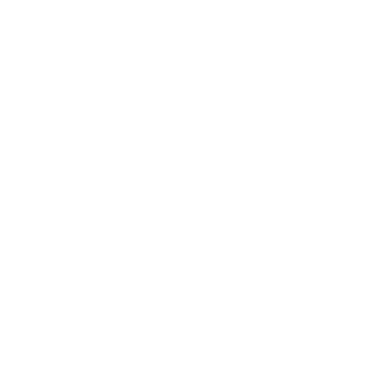 Software Development